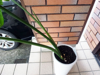 2018-6-30b.jpg
