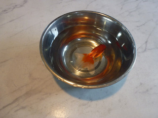 2019-5-4b.jpg