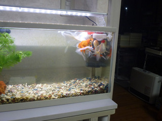 2019-5-4h.jpg