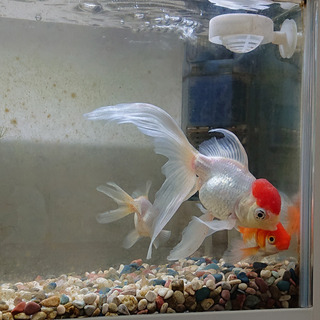 2019-6-8a.jpg