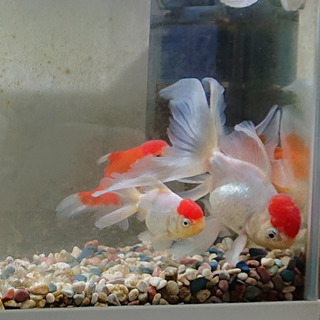 2019-6-8c.jpg