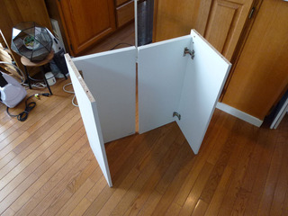 2020-2-11c.jpg