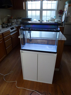 2020-2-11f.jpg