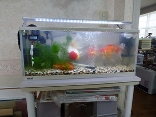 2020-2-12a.jpg