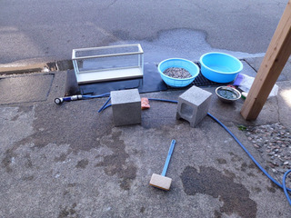2020-2-12b.jpg