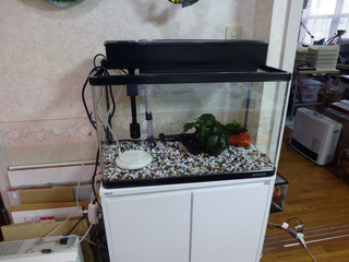 2020-2-12h.jpg