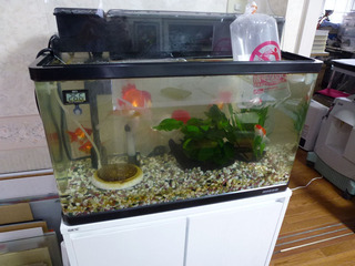 2020_3-11b.jpg