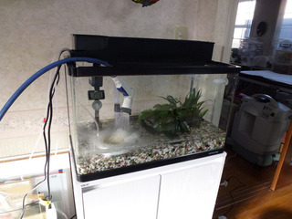 2020_3-12e.jpg