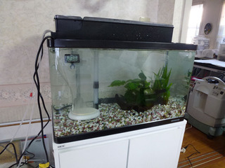 2020_3-12f.jpg