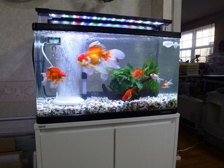 2020_3-12g.jpg