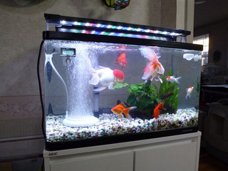 2020_3-12h.jpg