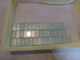 2020_3-15b.jpg