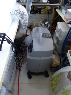 2020_3-5c.jpg