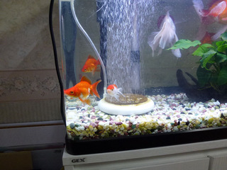 2020_3-6e.jpg