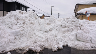 2021_1-13a.jpg