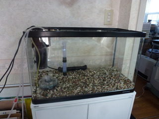 2021_1-25g.jpg