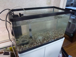 2021_11-15c.jpg