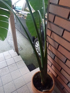 2021_2-5b.jpg