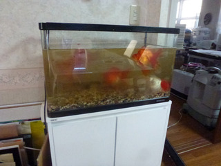 2021_4-3b.jpg
