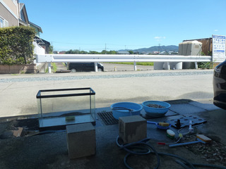 2021_8-4b.jpg