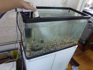 2021_8-4c.jpg