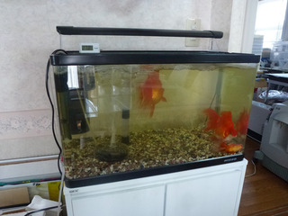 2021_9-13d.jpg