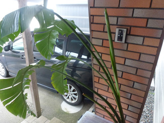 2024_4-23b.jpg
