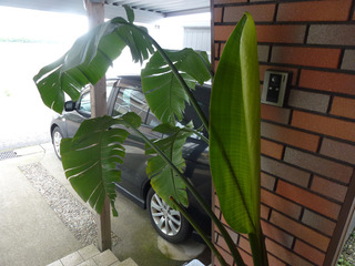 2024_4-23d.jpg