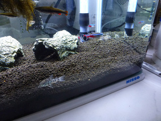2024_6-12f.jpg