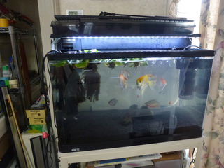 2024_6-13d.jpg