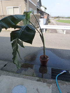 2025_3-21e.jpg