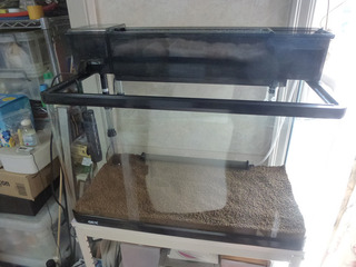 2025_4-9g.jpg