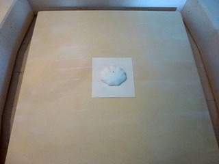 2025_5-18b.jpg