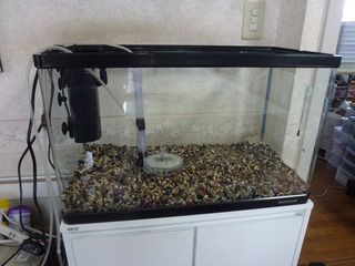 2025_5-1g.jpg