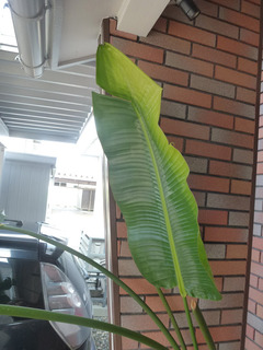 2025_7-9b.jpg