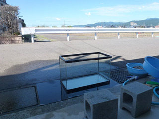 2025_8-10b.jpg
