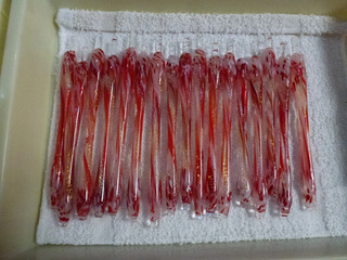 kingyo-pen_10.jpg
